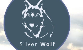 Silver Wolf Associates – Pension and Benefits Consultancy, UK
